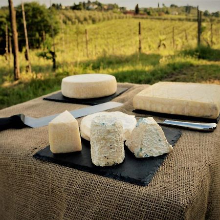 Agriturismo Fattoria Le Caprine Gambassi Terme Eksteriør billede
