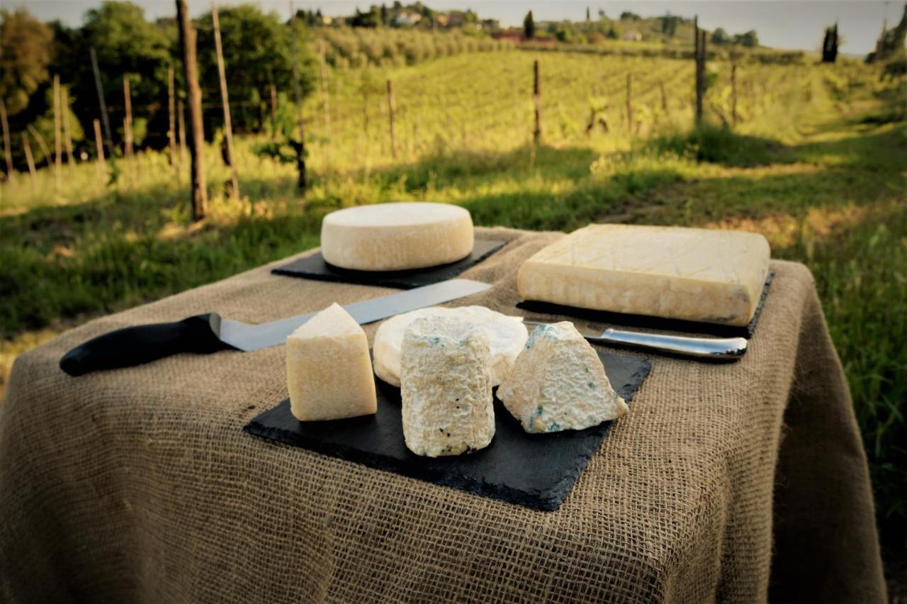 Agriturismo Fattoria Le Caprine Gambassi Terme Eksteriør billede