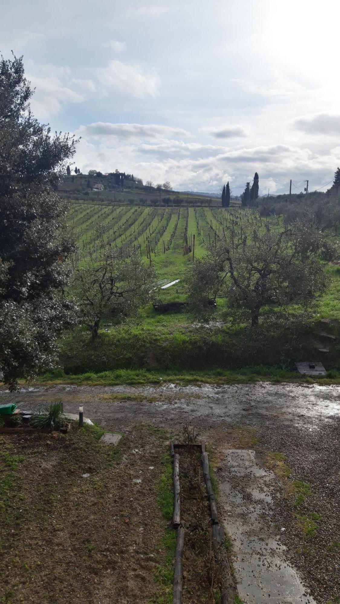 Agriturismo Fattoria Le Caprine Gambassi Terme Eksteriør billede